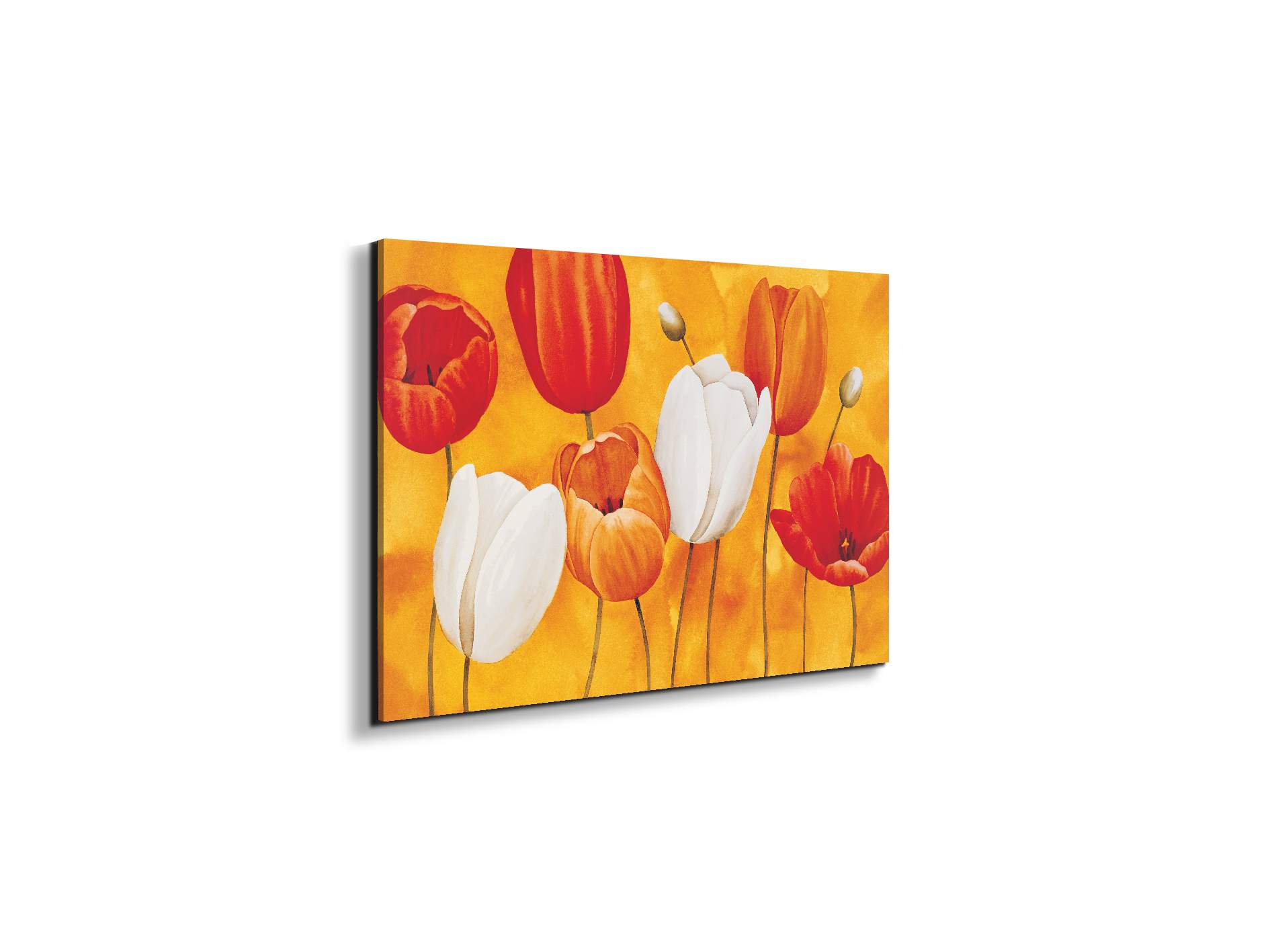 tulips-orangeec16450-