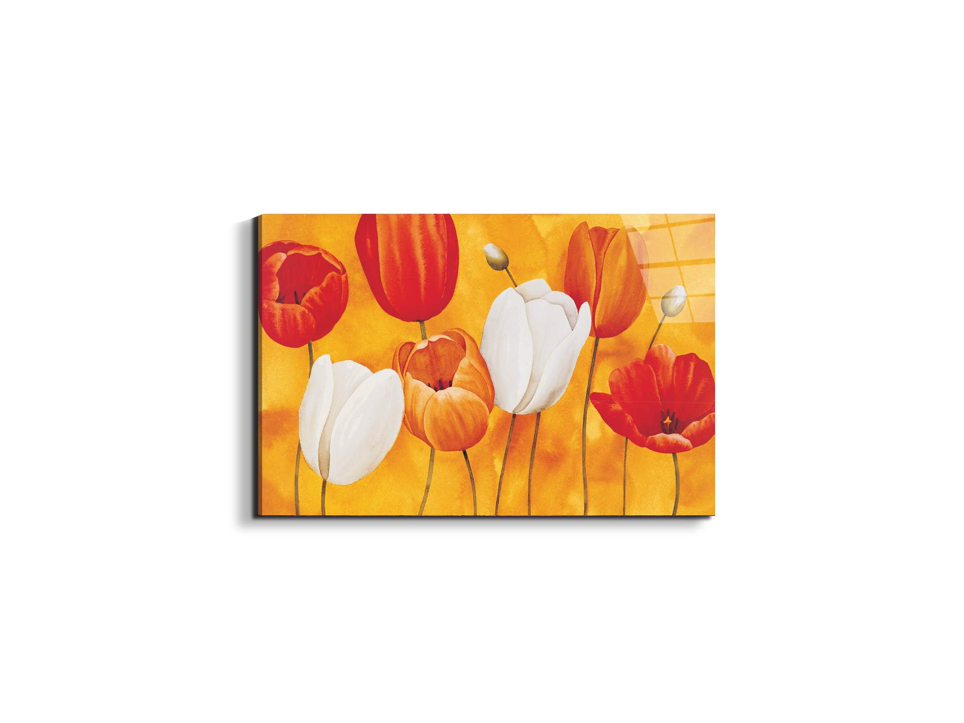 tulips-orangeec16450-