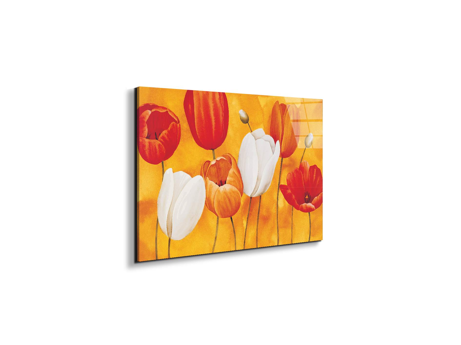 tulips-orangeec16450-