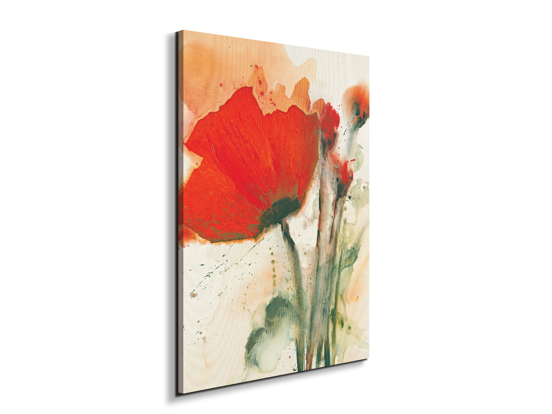 poppies-bluredec16658-