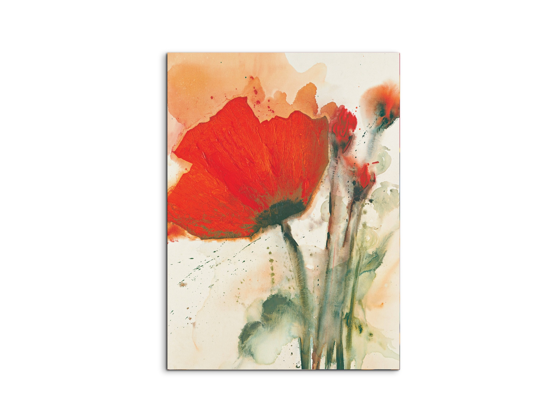 poppies-bluredec16658-