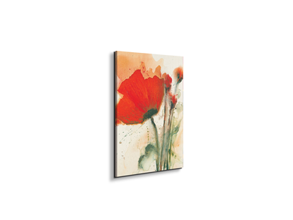 poppies-bluredec16658-
