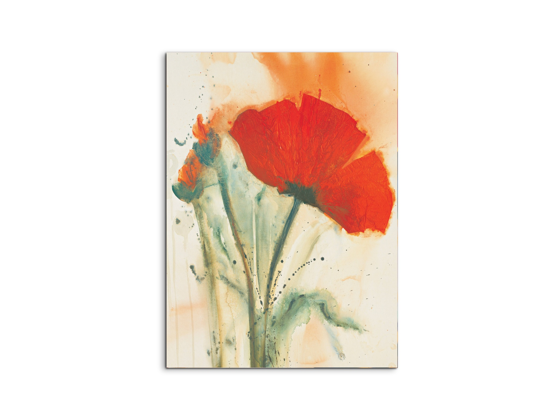 poppies-standingec16660-