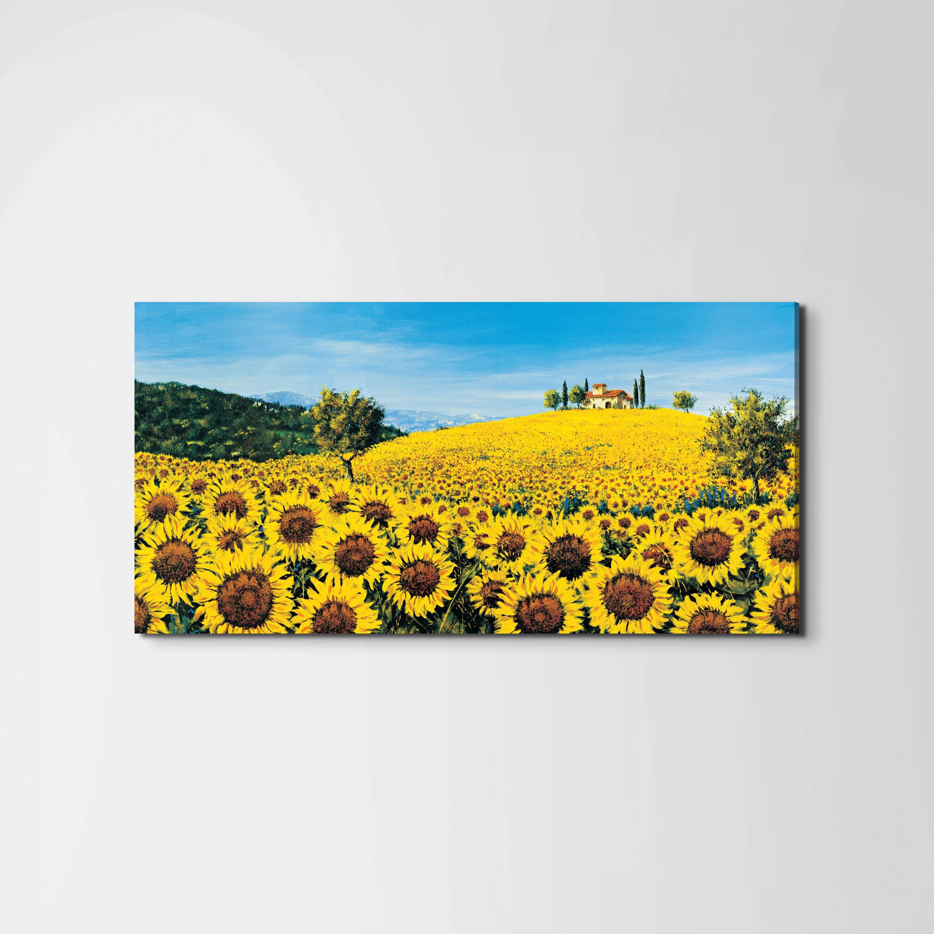 sunflowersec16675-#materiale_EarthArt/dimensioni_100x50