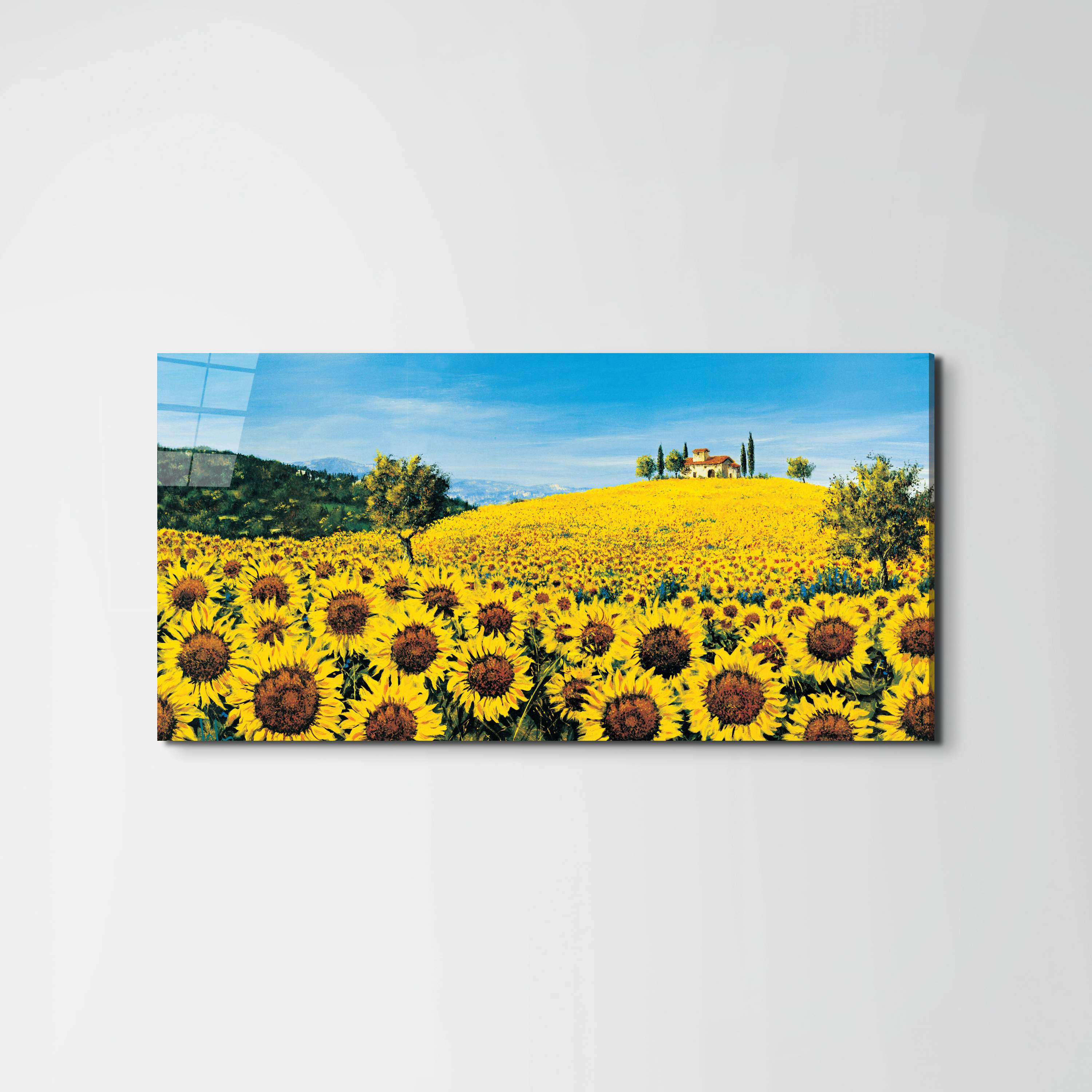 sunflowersec16675-