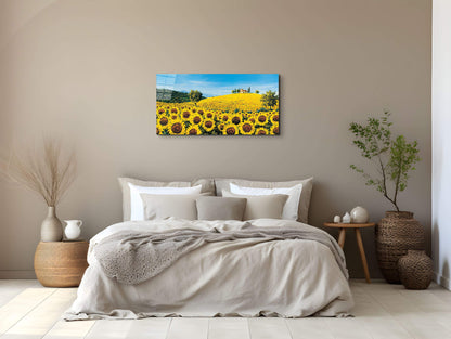 sunflowersec16675-