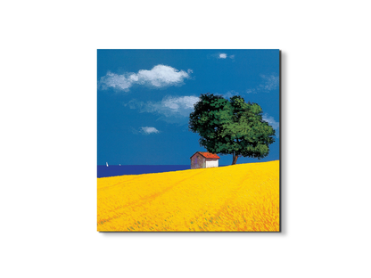 country-cottage-yellow-and-blueec16873-