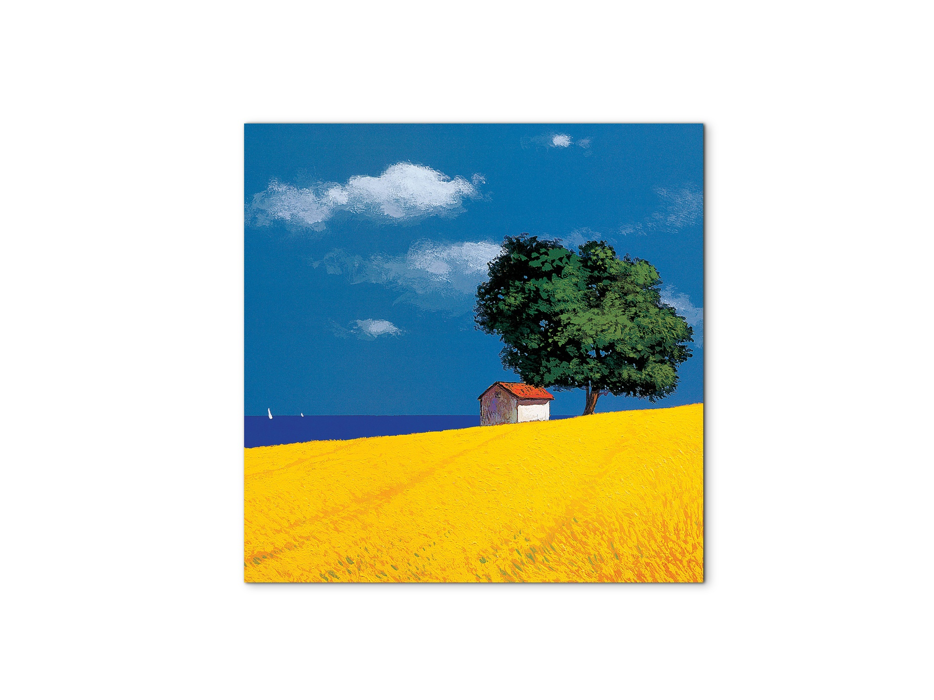 country-cottage-yellow-and-blueec16873-