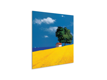 country-cottage-yellow-and-blueec16873-