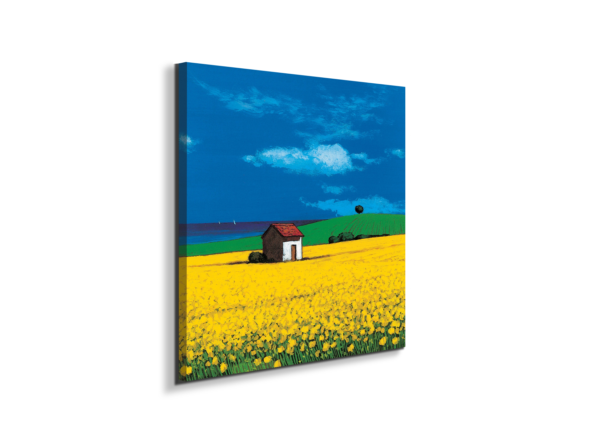 country-cottageec16874-