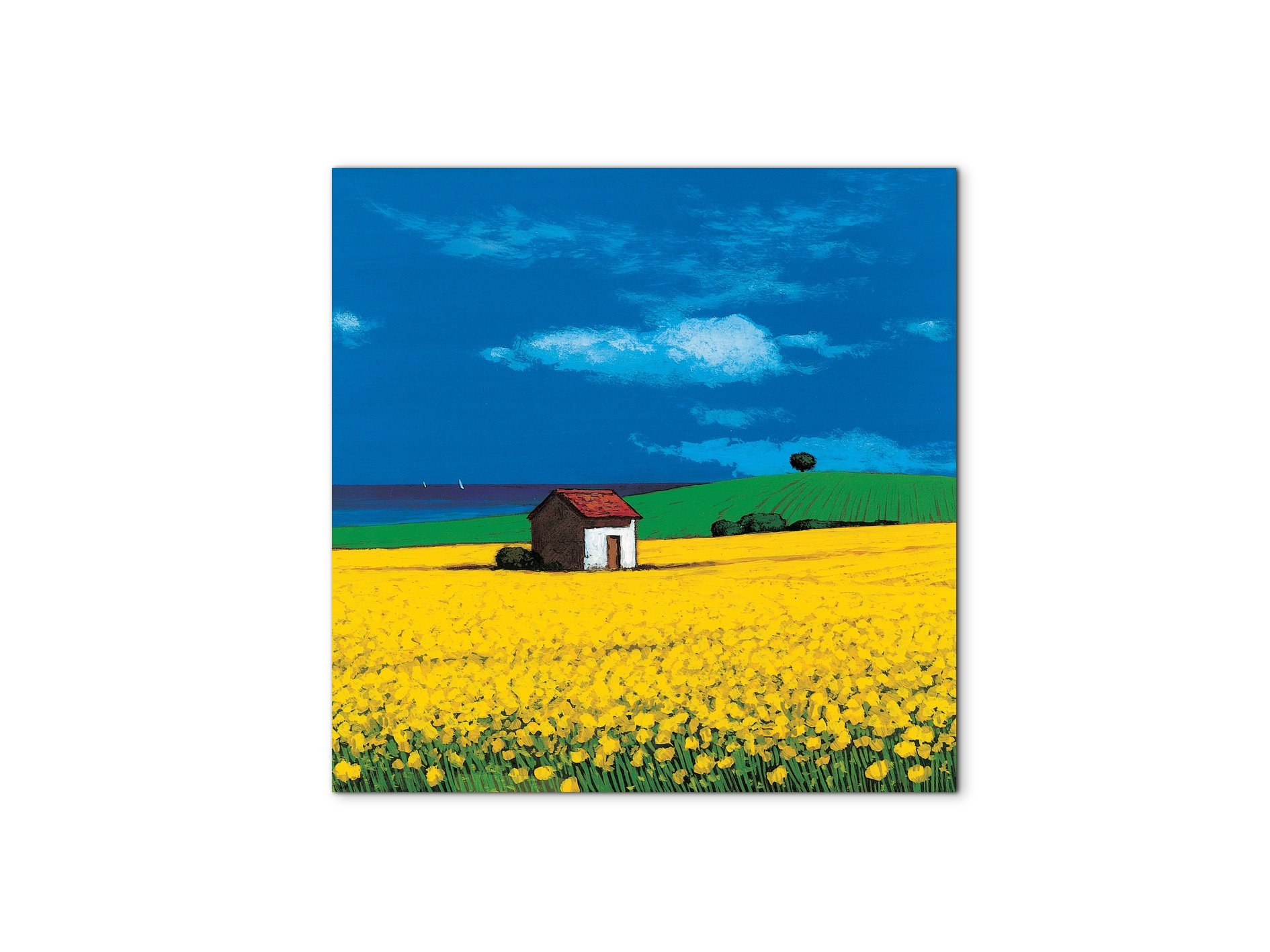country-cottageec16874-