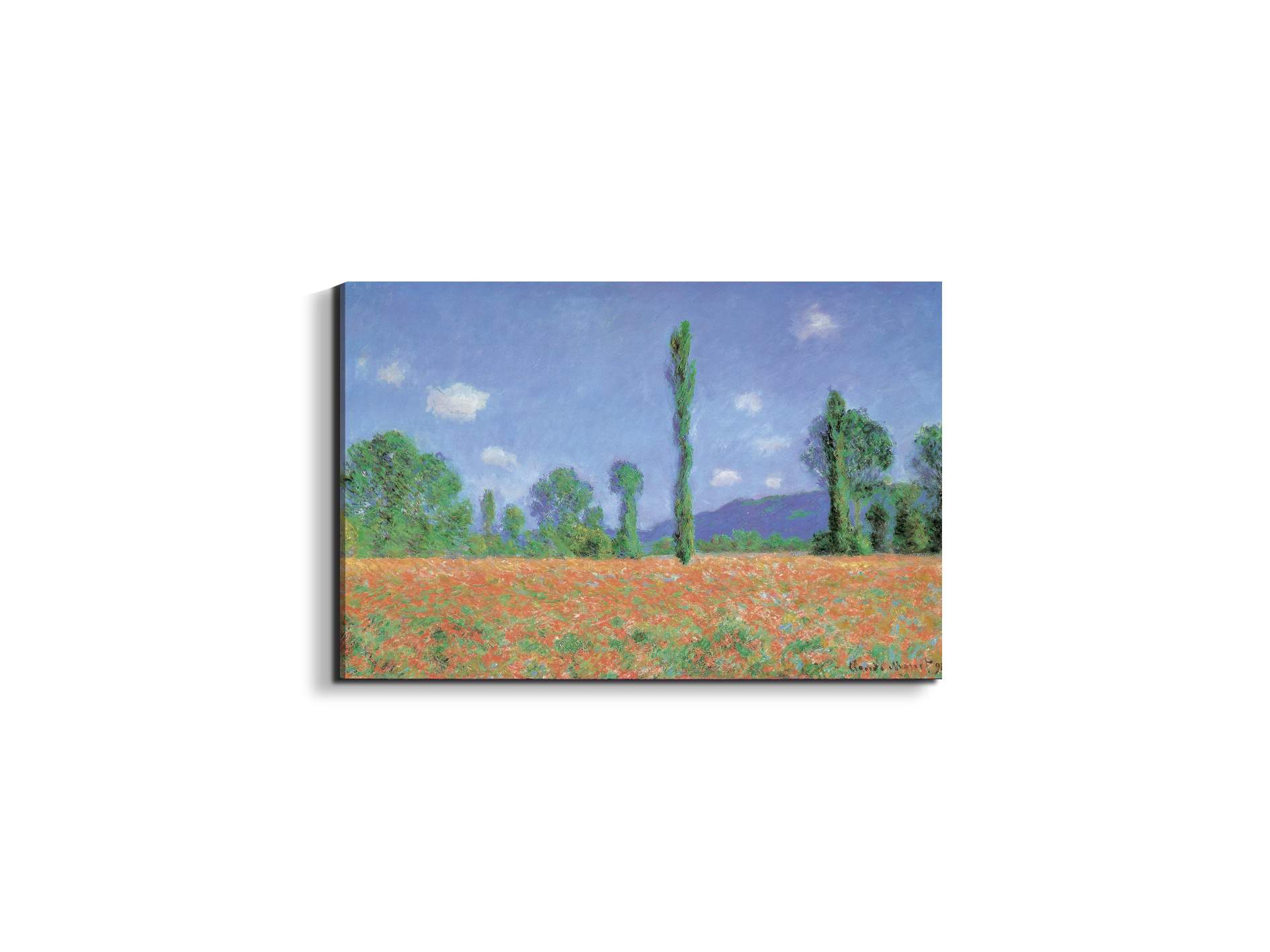 homage-to-monet-poppies-field-iec16960-#materiale_EarthArt/dimensioni_50x33,33