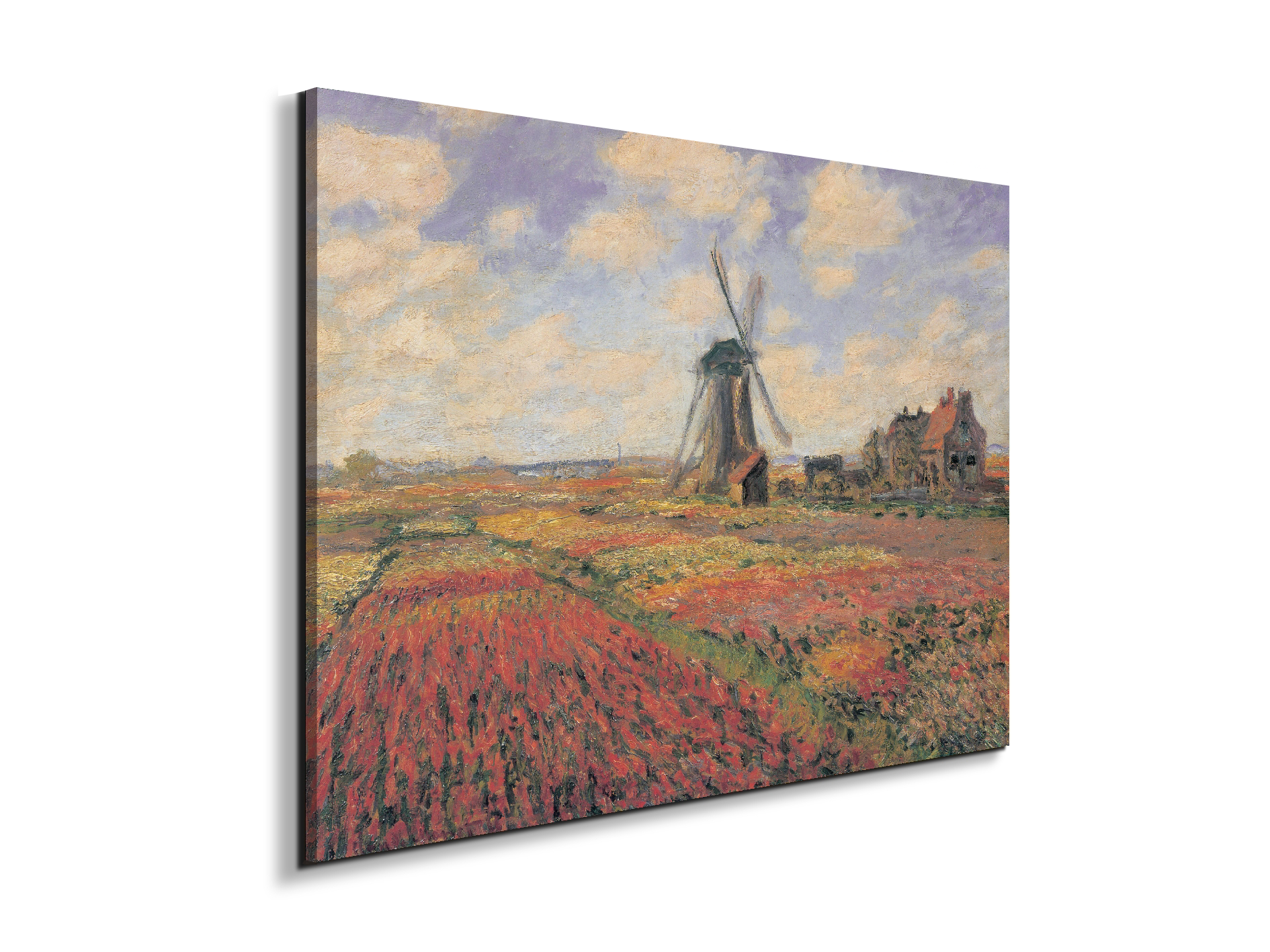 homage-to-monet-tulip-fields-with-windhillec16974-