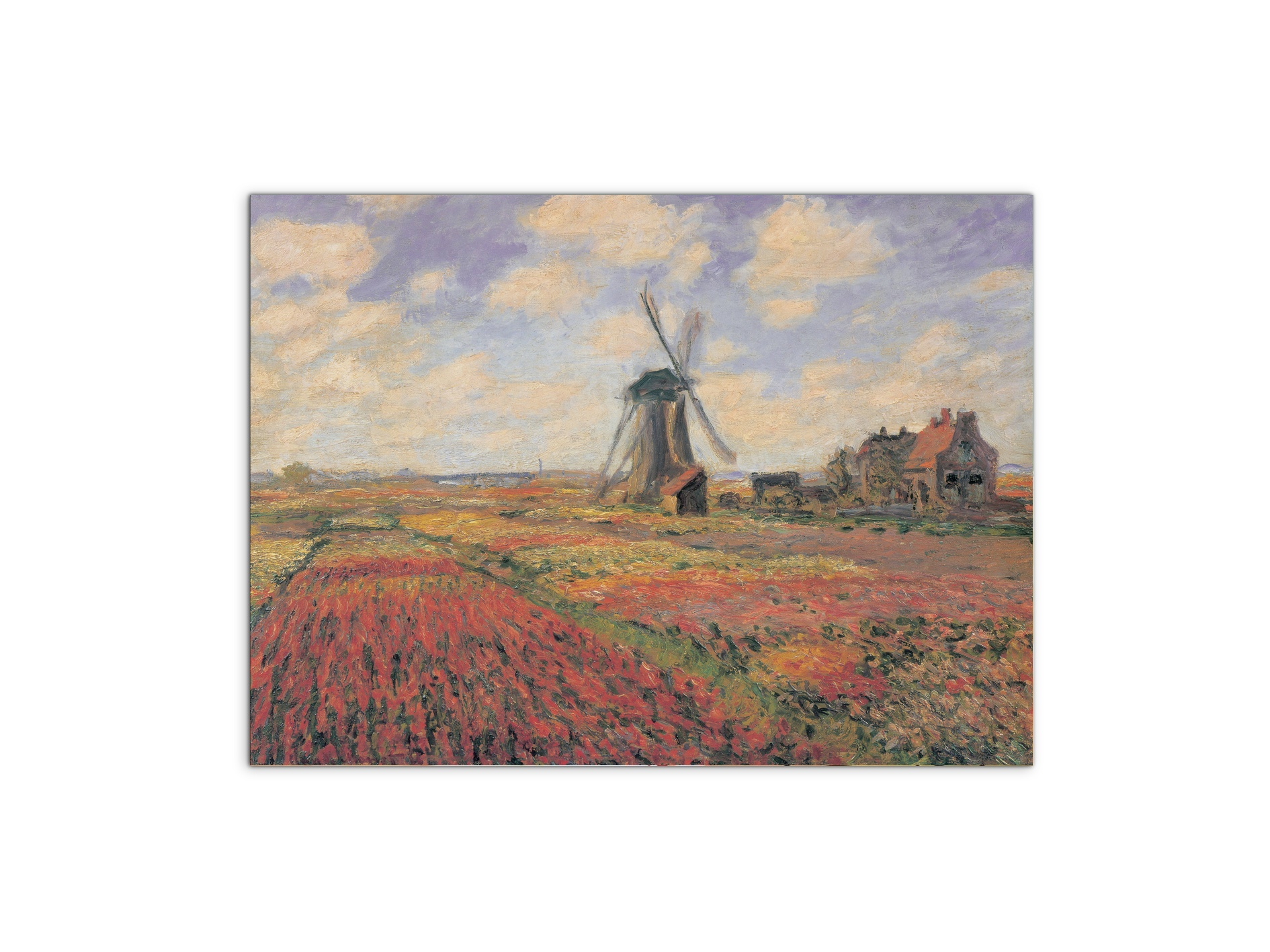 homage-to-monet-tulip-fields-with-windhillec16974-
