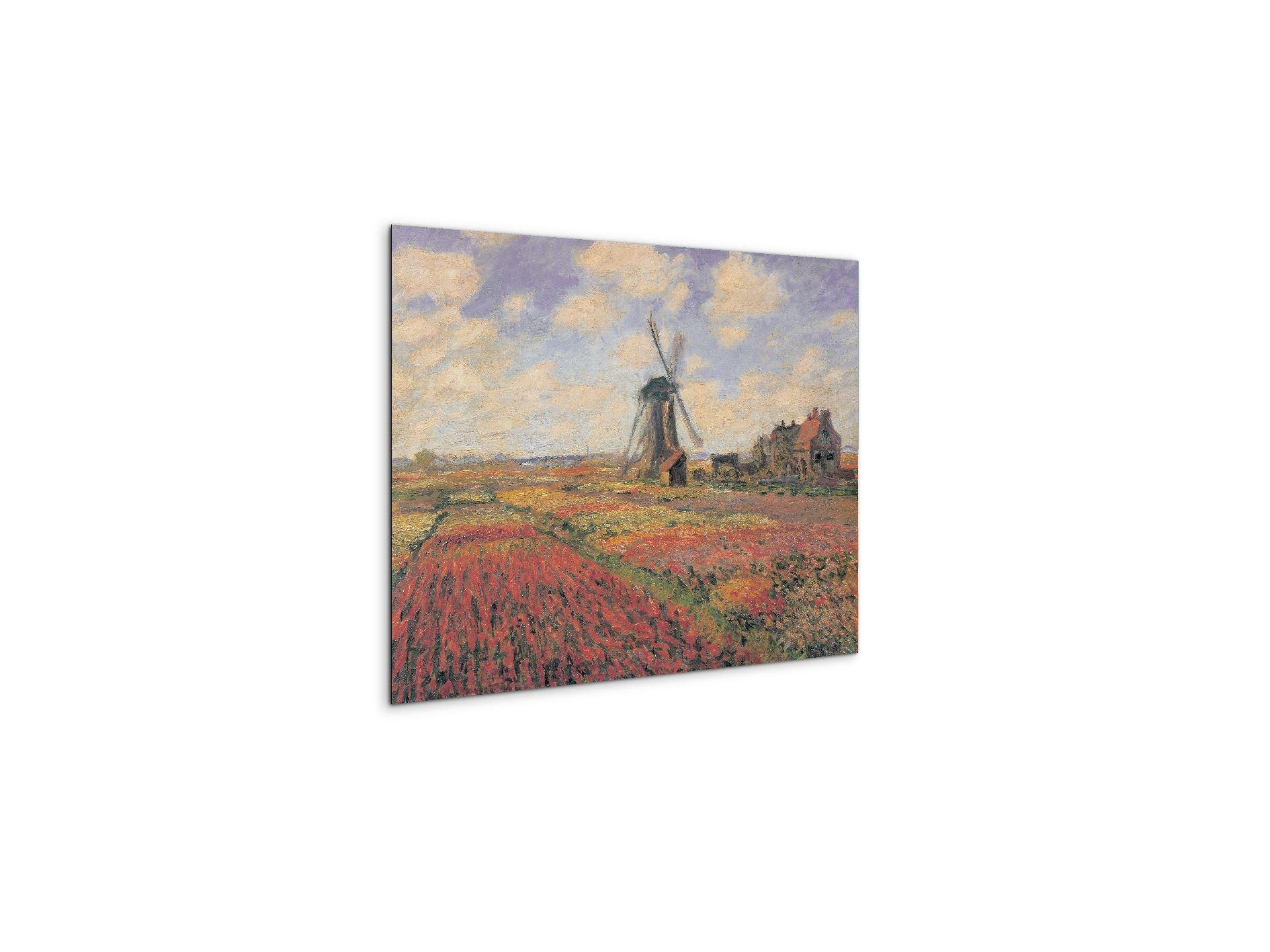 homage-to-monet-tulip-fields-with-windhillec16974-