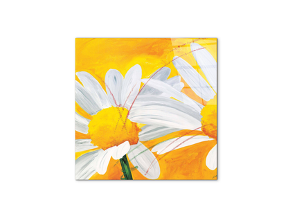 daisiesec17027-