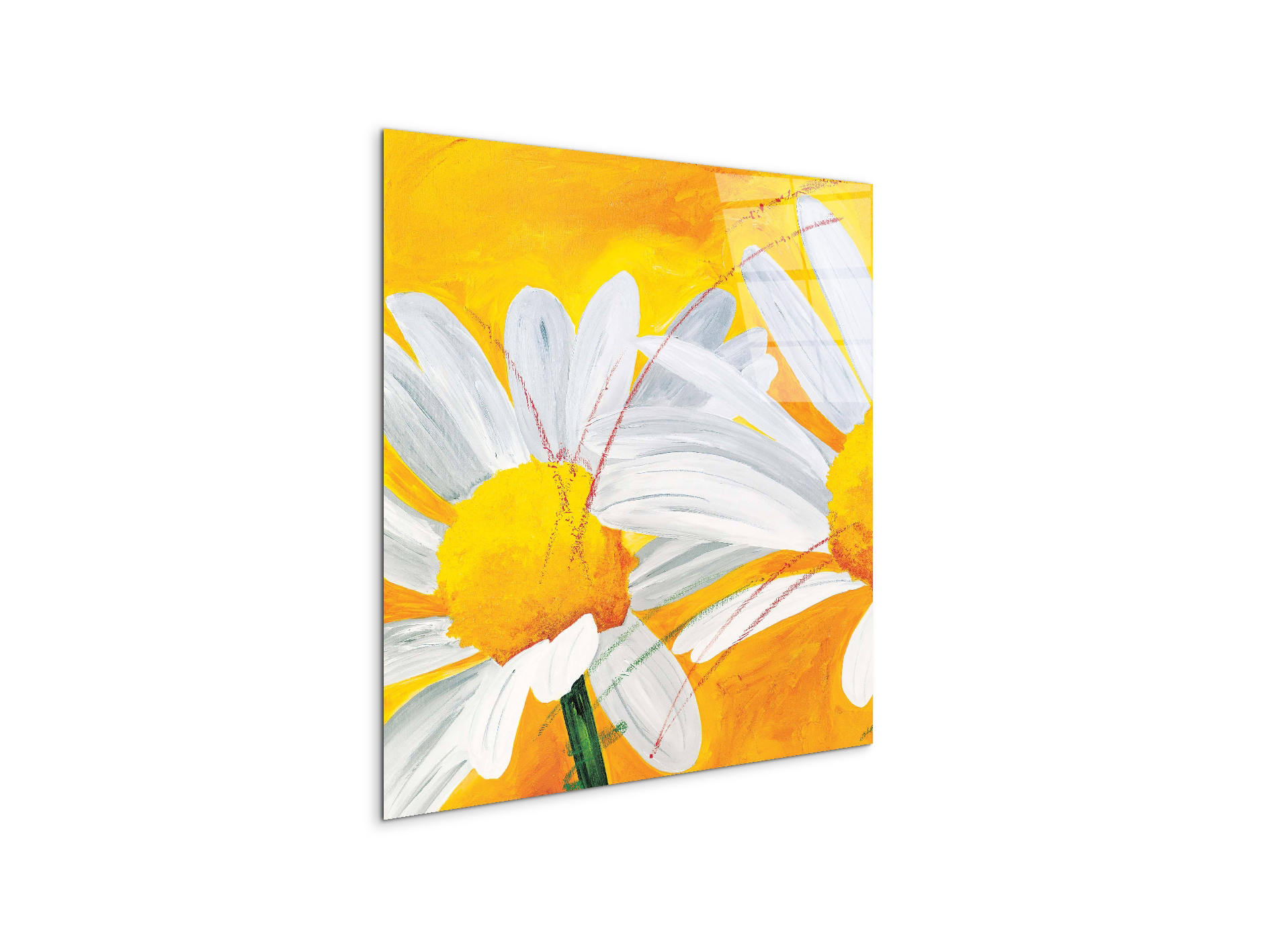 daisiesec17027-