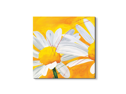 daisiesec17027-