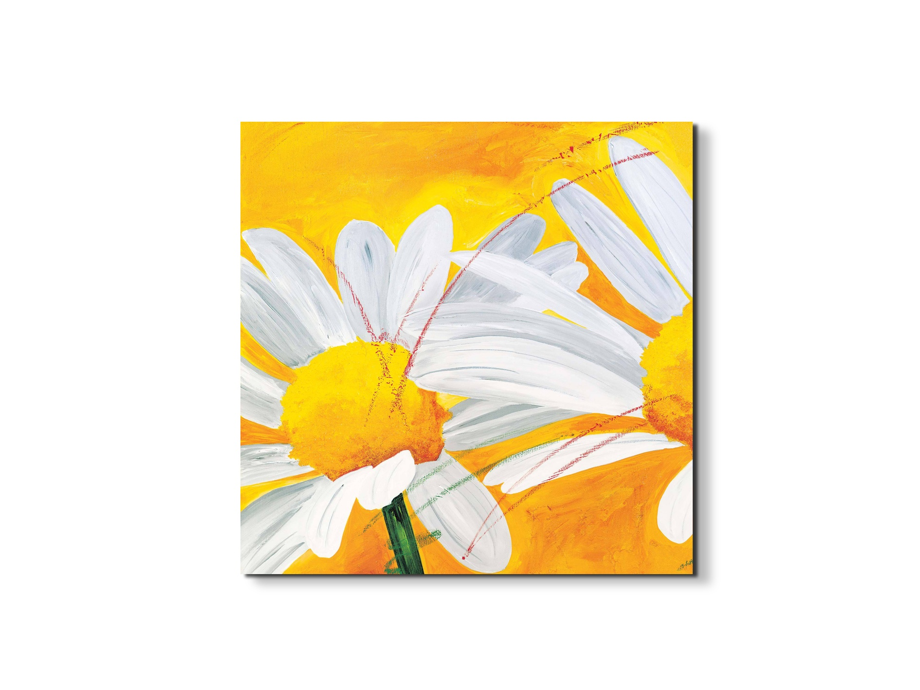 daisiesec17027-
