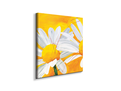 daisiesec17027-