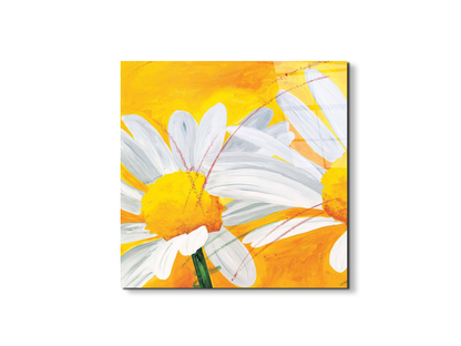 daisiesec17027-
