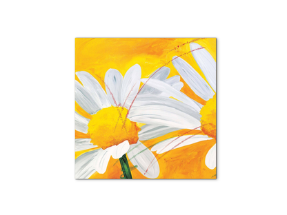 daisiesec17027-