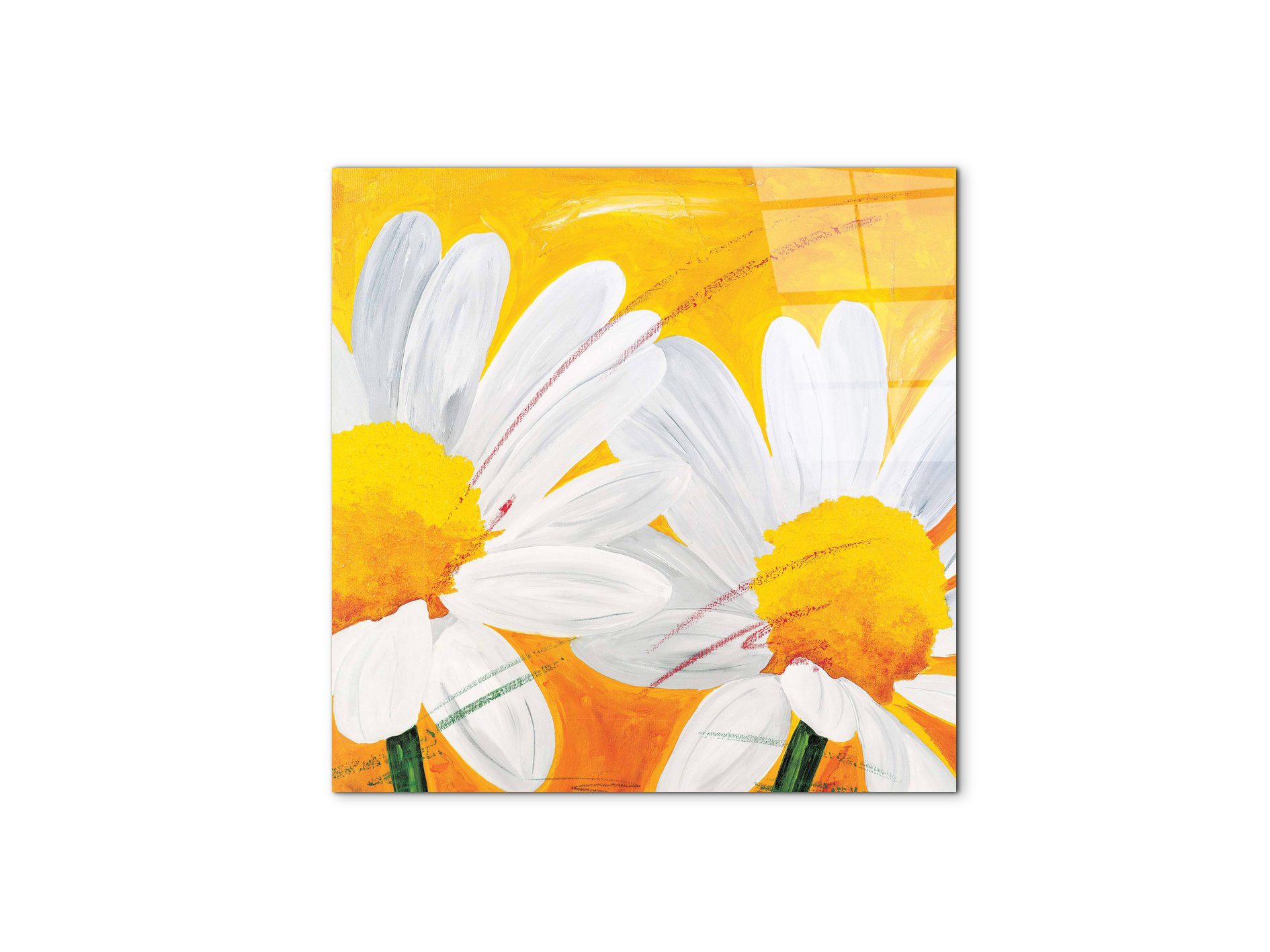 daisies-iec17028-#materiale_CrystalArt/dimensioni_58x58