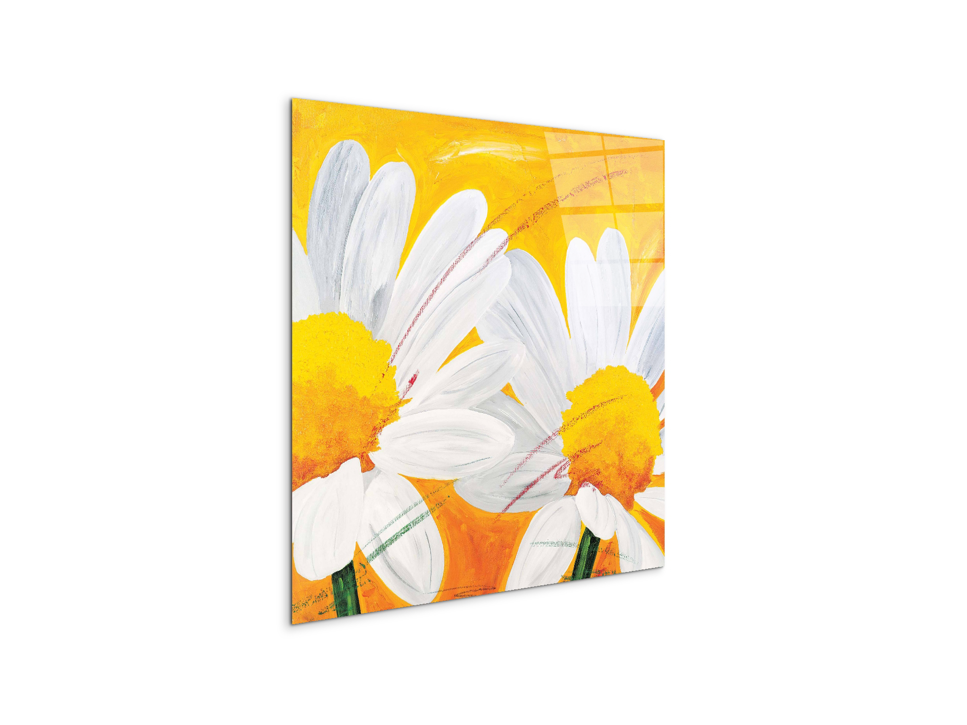 daisies-iec17028-