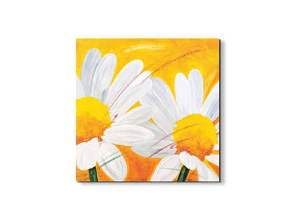 daisies-iec17028-