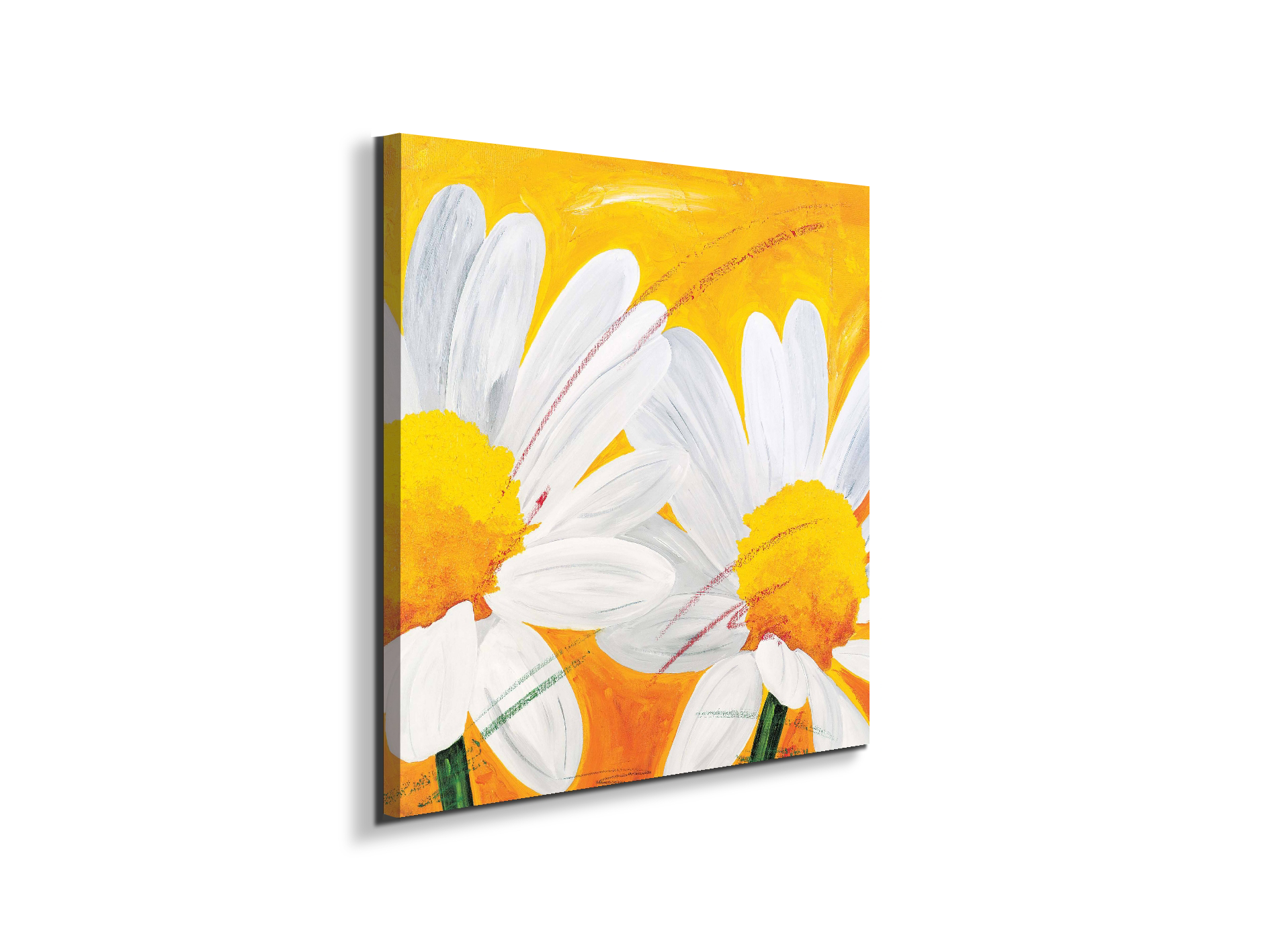 daisies-iec17028-