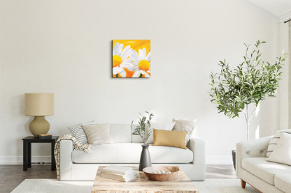 daisies-iec17028-
