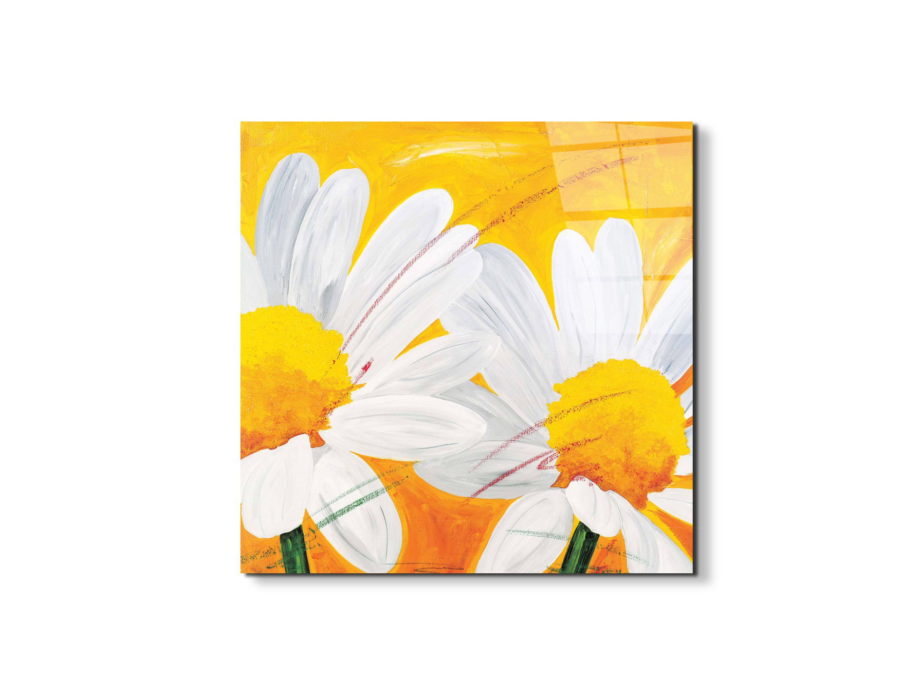 daisies-iec17028-