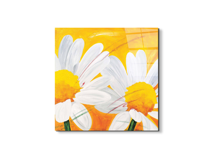 daisies-iec17028-