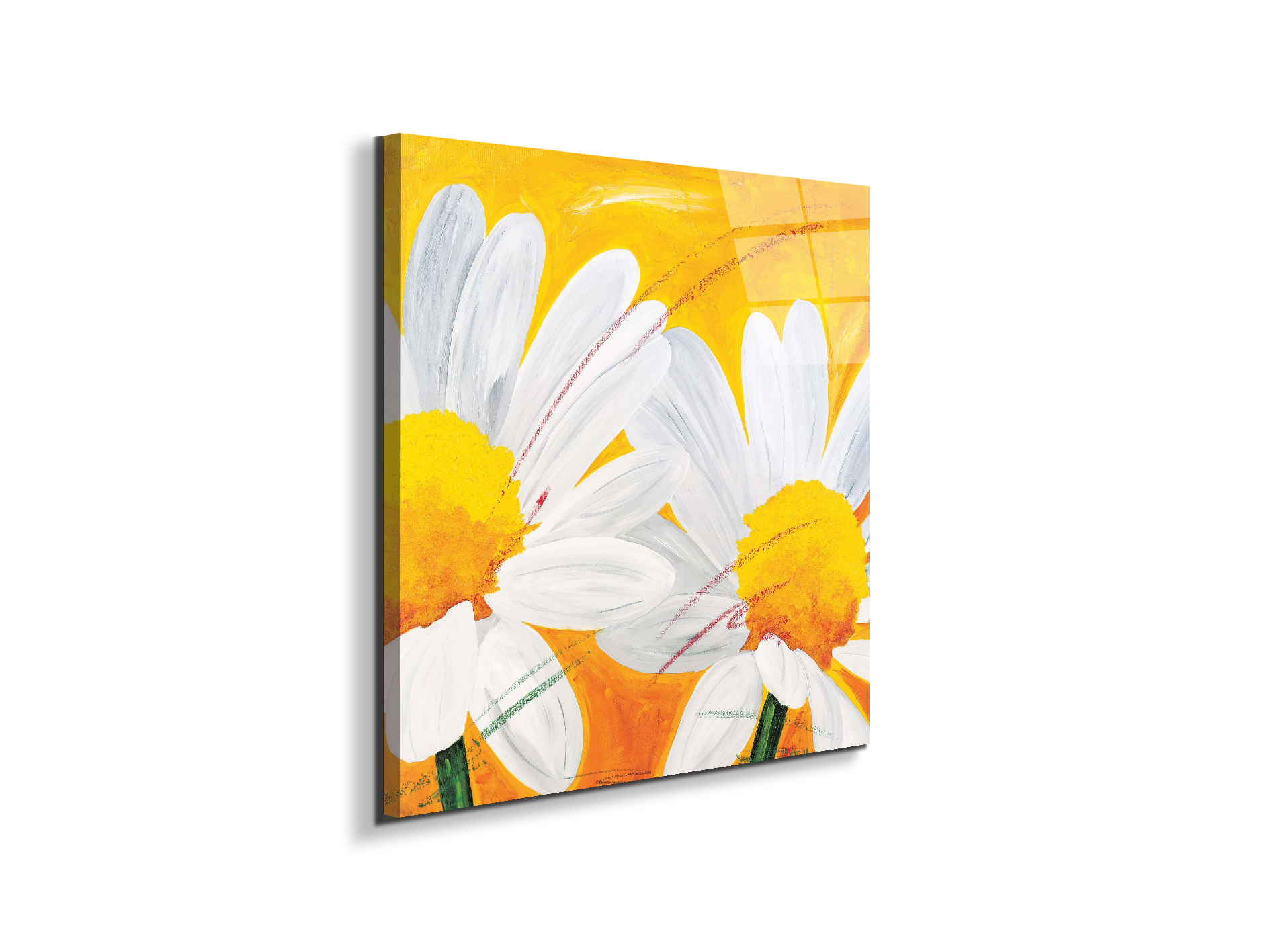 daisies-iec17028-