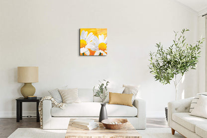 daisies-iec17028-