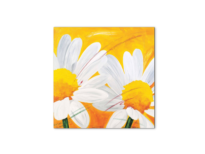 daisies-iec17028-