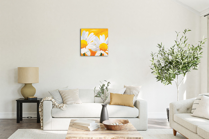 daisies-iec17028-