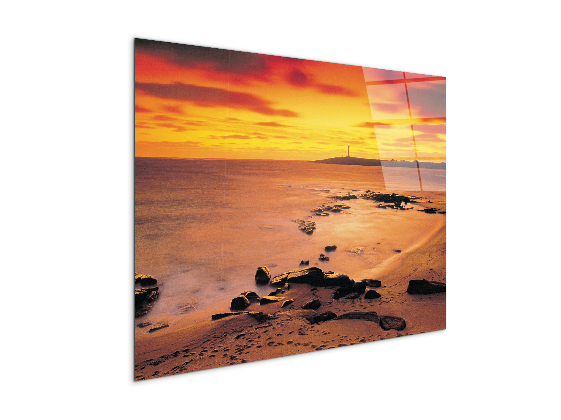 sea-flowec17206-