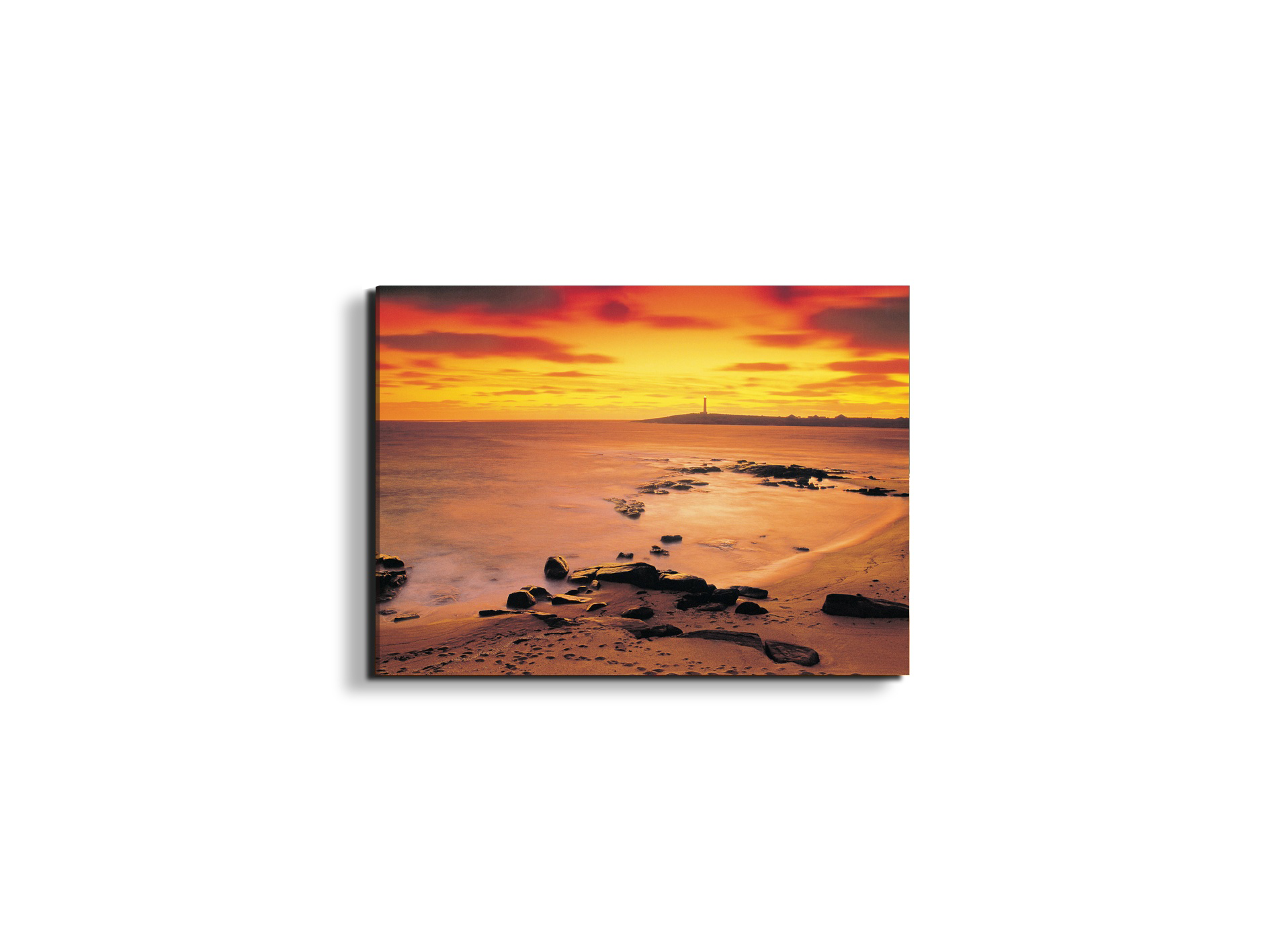 sea-flowec17206-
