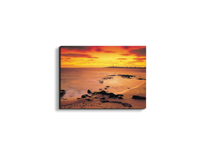 sea-flowec17206-