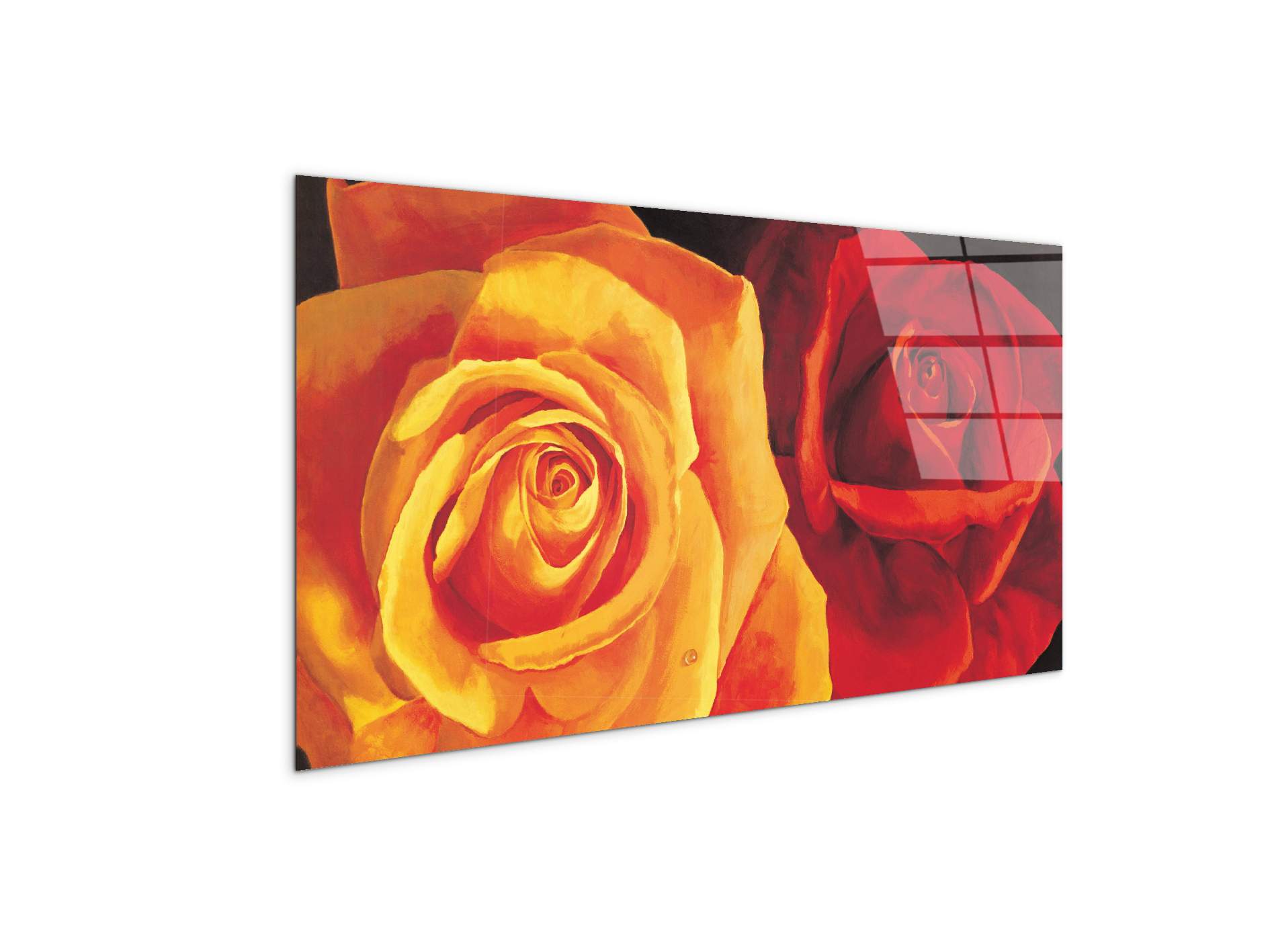 yellow-and-red-roseec17427-