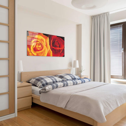 yellow-and-red-roseec17427-