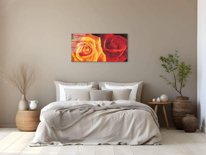 yellow-and-red-roseec17427-