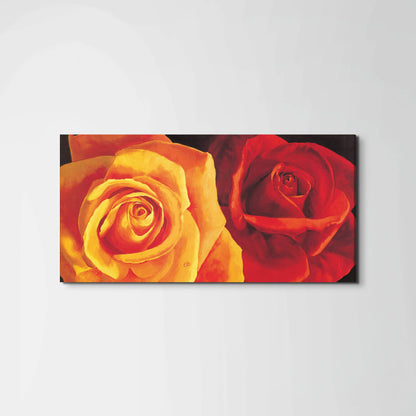 yellow-and-red-roseec17427-