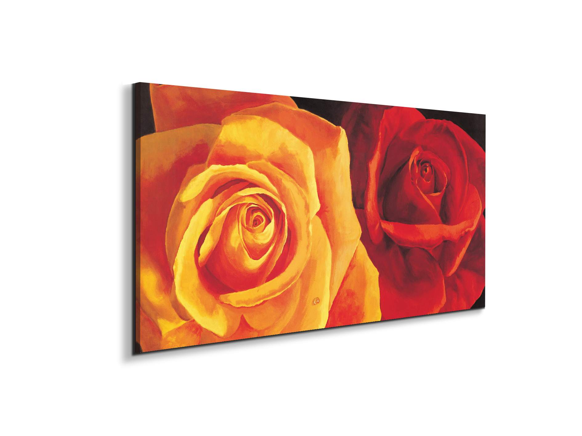 yellow-and-red-roseec17427-
