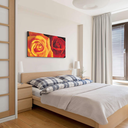 yellow-and-red-roseec17427-