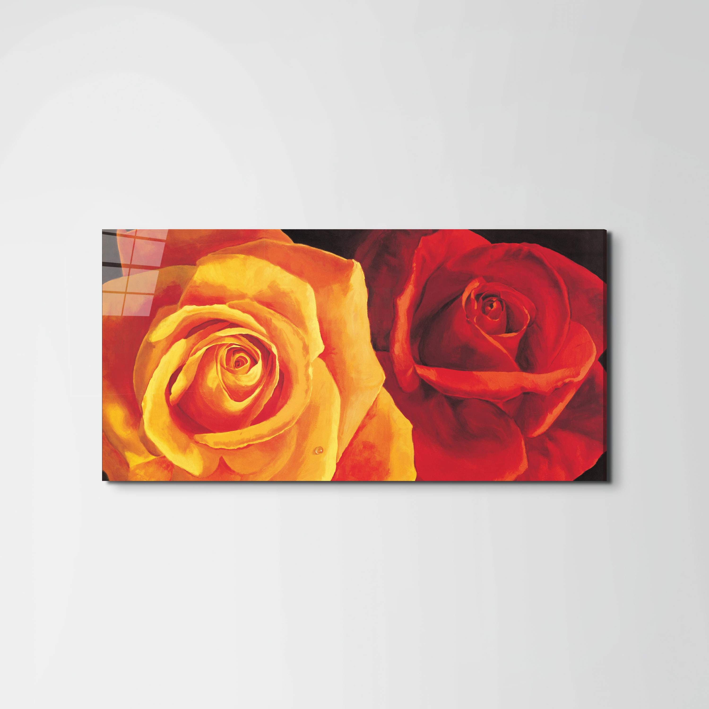 yellow-and-red-roseec17427-