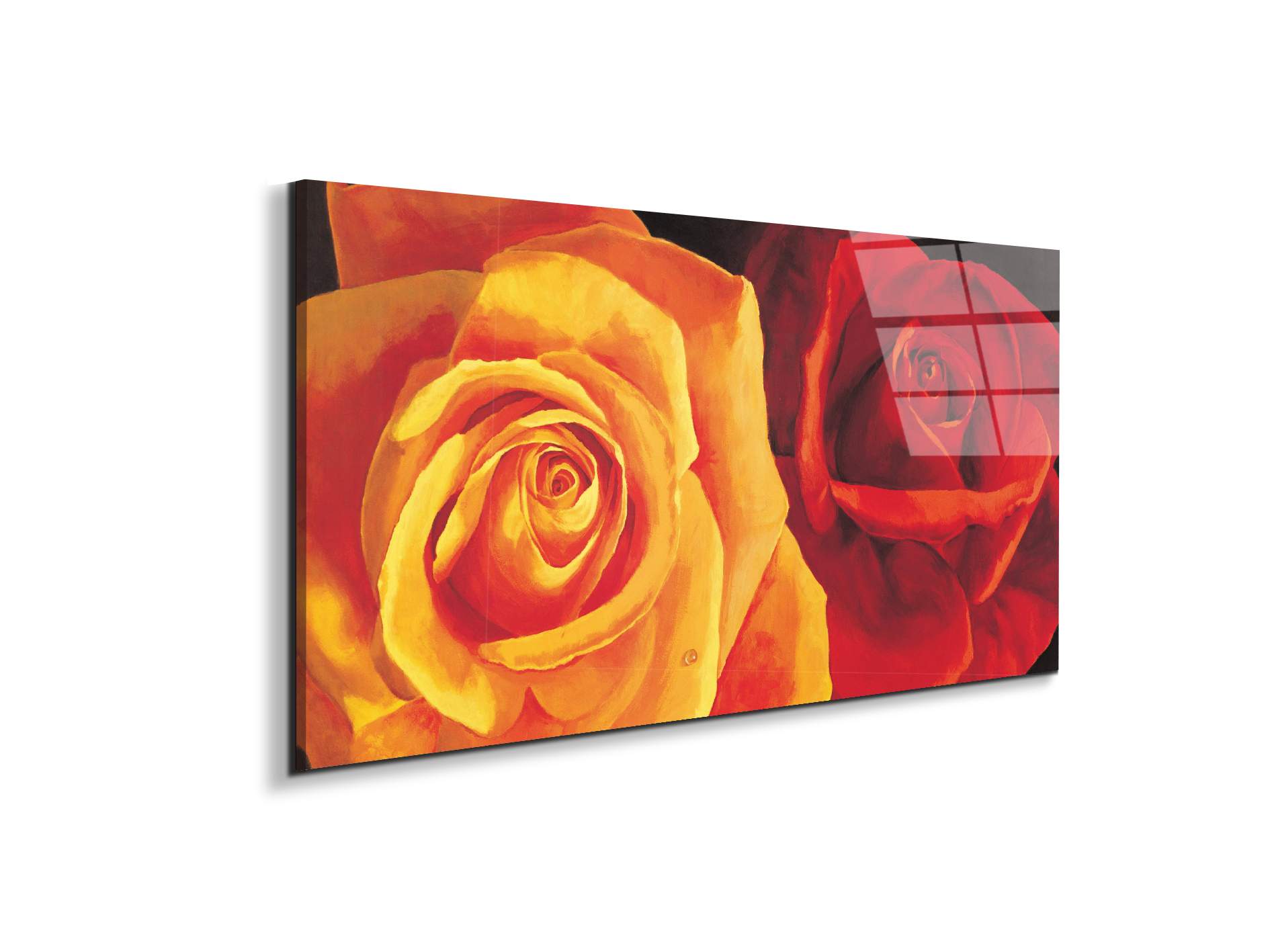 yellow-and-red-roseec17427-