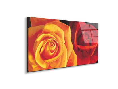 yellow-and-red-roseec17427-