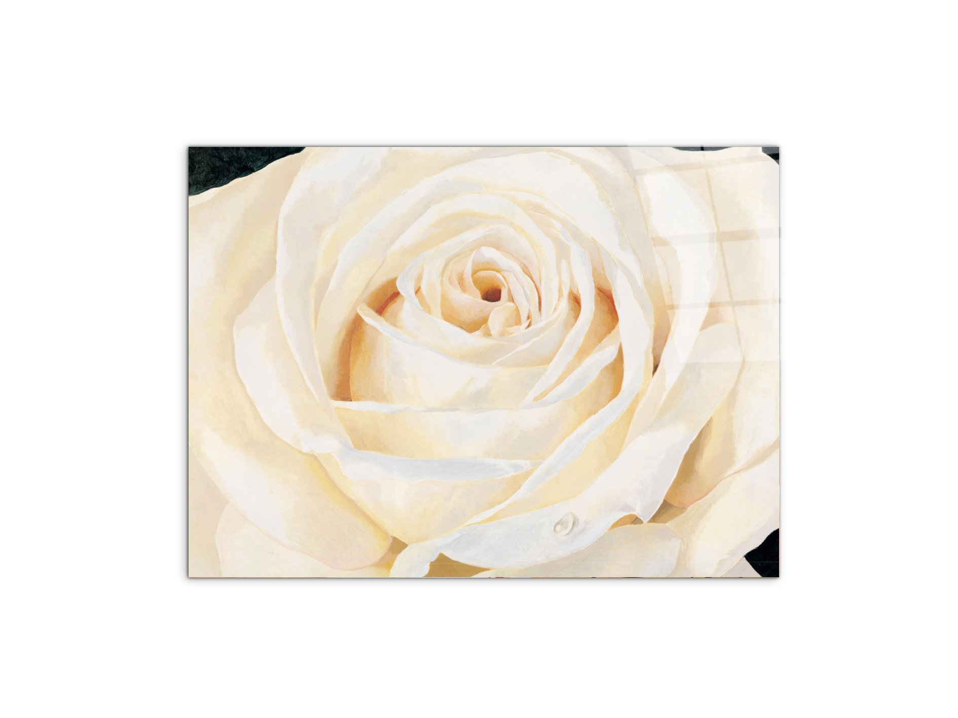 white-roseec17430-#materiale_CrystalArt/dimensioni_77,5x58